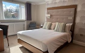 The Fig Tree Shanklin